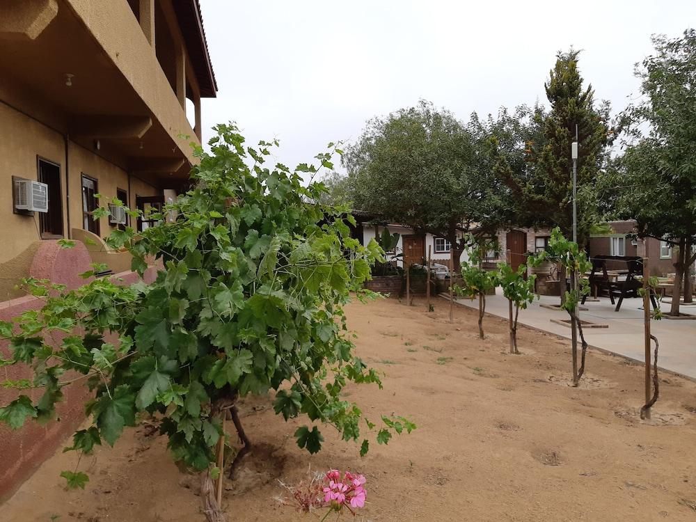 Hotel Meson Del Vino Valle de Guadalupe Extérieur photo