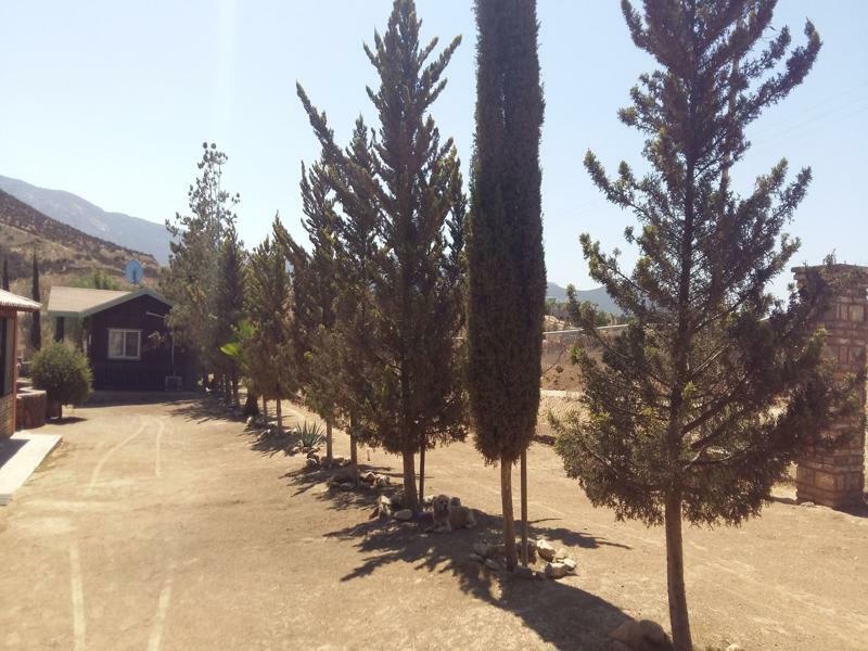 Hotel Meson Del Vino Valle de Guadalupe Extérieur photo