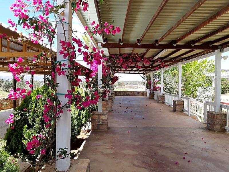Hotel Meson Del Vino Valle de Guadalupe Extérieur photo