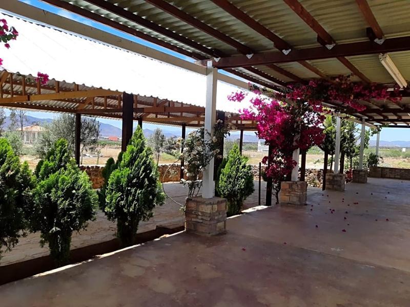 Hotel Meson Del Vino Valle de Guadalupe Extérieur photo
